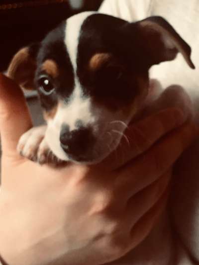 Erstes Bild-Beitrag-Bild