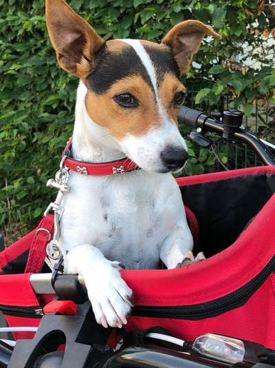 Lieblingsbild-Beitrag-Bild