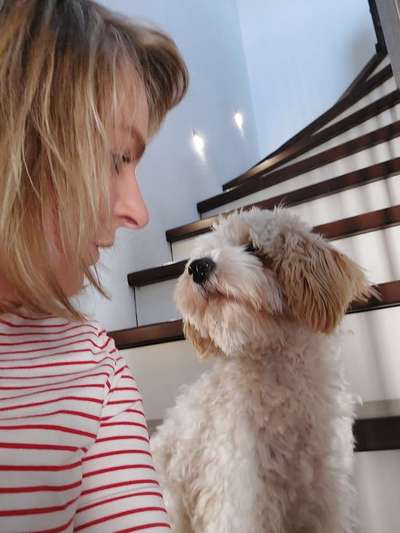 Hundmenschfotos-Beitrag-Bild