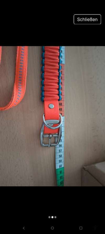 Verkaufe Leine-Halsbandset-Beitrag-Bild