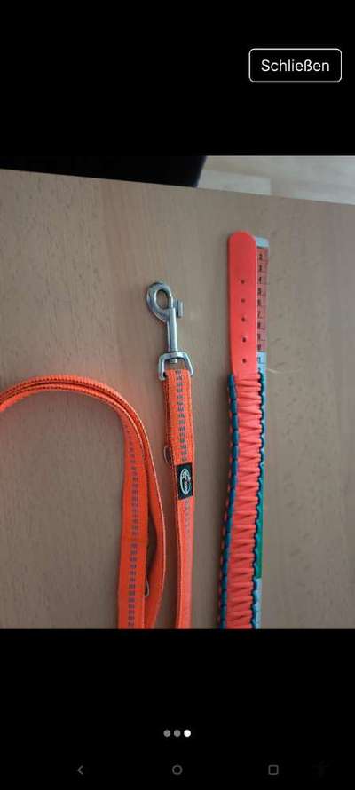 Verkaufe Leine-Halsbandset-Beitrag-Bild