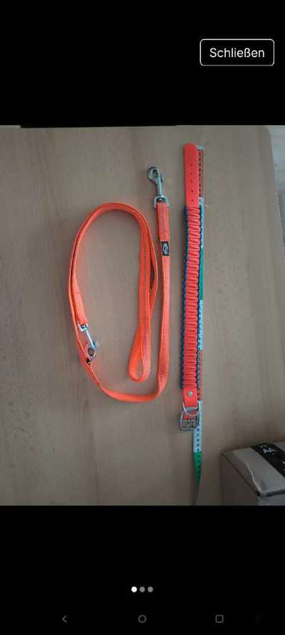 Verkaufe Leine-Halsbandset-Beitrag-Bild