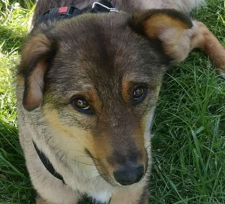 Fotochallange Nr. 57     PORTRÄT.   Beendet!!!!!!!!-Beitrag-Bild