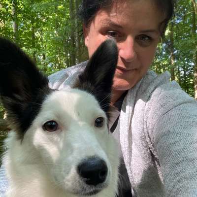 Hundetreffen-Social Walk für kleinere Vierbeiner gesucht