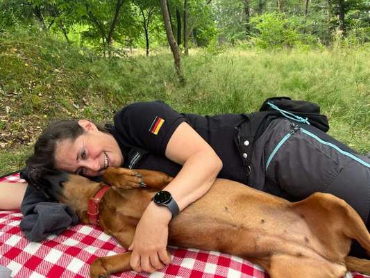 Bayerischer Gebirgsschweißhund-Beitrag-Bild