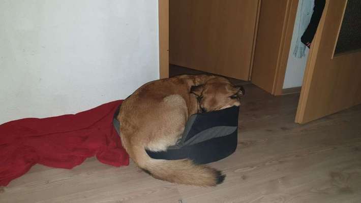 Die unbequemsten und lustigsten Schlafpositionen-Beitrag-Bild