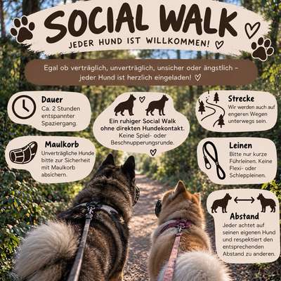 Hundetreffen-Social Walk-Bild