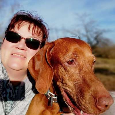 Hundetreffen-Zum Spaziergang und Toben-Profilbild