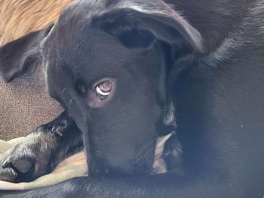 150. Foto Challaenge:  Die Augen, der Spiegel der Seele-Beitrag-Bild