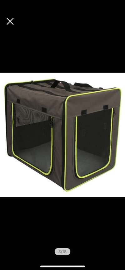 Wohnen mit Hund/ Hunden-Beitrag-Bild