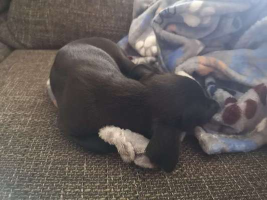 Fotochallange Nummer 5-Beitrag-Bild