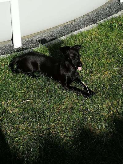 Lustige Grimassen & verrückte Posen-Beitrag-Bild