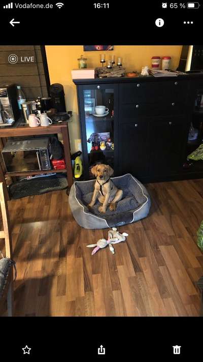 Foto Challenge die Vierte-Beitrag-Bild