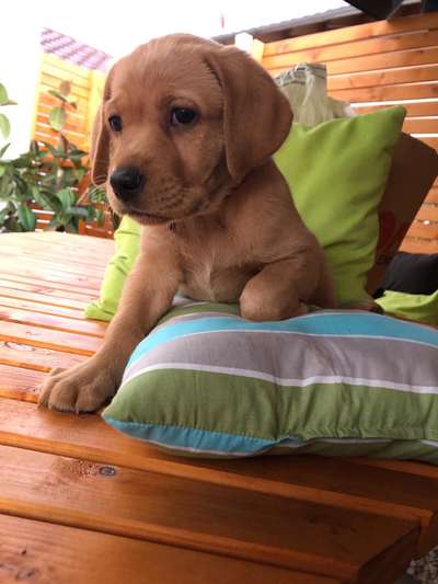 Foto Challenge 3-Beitrag-Bild