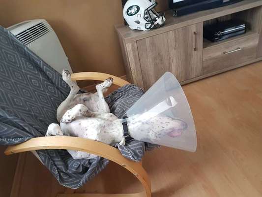 Die unbequemsten und lustigsten Schlafpositionen-Beitrag-Bild