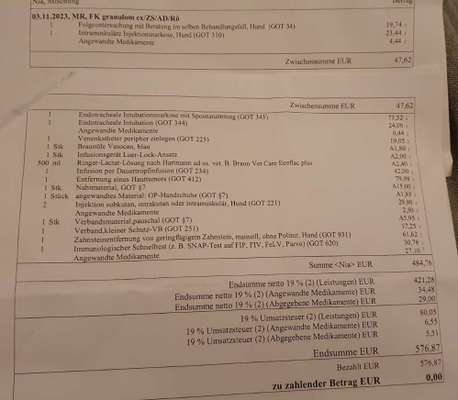 Kosten einfache Zahnreinigung-Beitrag-Bild