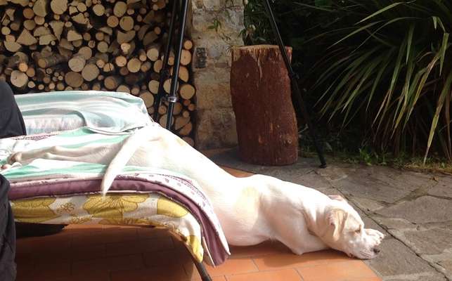 Die unbequemsten und lustigsten Schlafpositionen-Beitrag-Bild