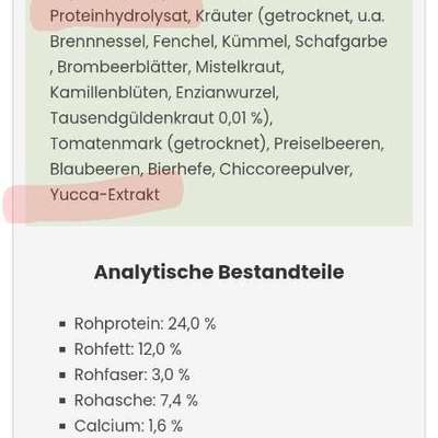 Gutes Trockenfutter mit hohem Fleischanteil-Beitrag-Bild