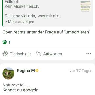 Gutes Trockenfutter mit hohem Fleischanteil-Beitrag-Bild