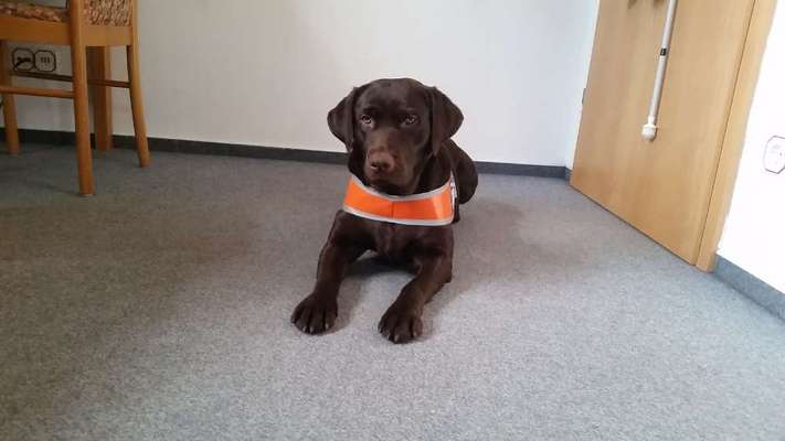 Erstes Bild-Beitrag-Bild