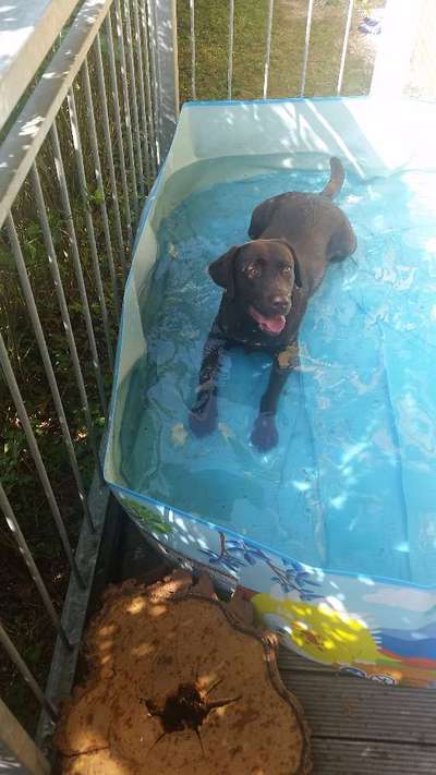 FOTOCHALLANGE NR.71 BADEFREUDE-Beitrag-Bild