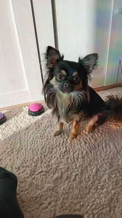 Meinungen zu ANIFIT?-Beitrag-Bild