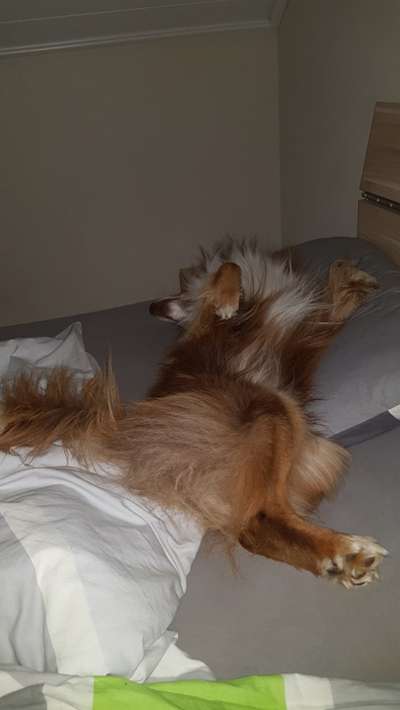 Die unbequemsten und lustigsten Schlafpositionen-Beitrag-Bild