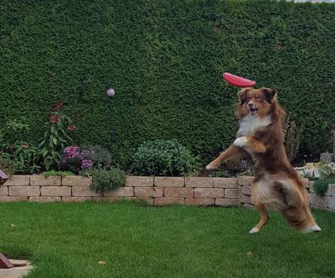 Fotochallenge Nr. 52 „Spring!“-Beitrag-Bild