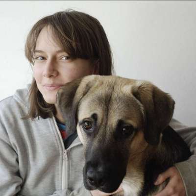 Hundetreffen-Sozialisierung, Gassi-/Spielrunde