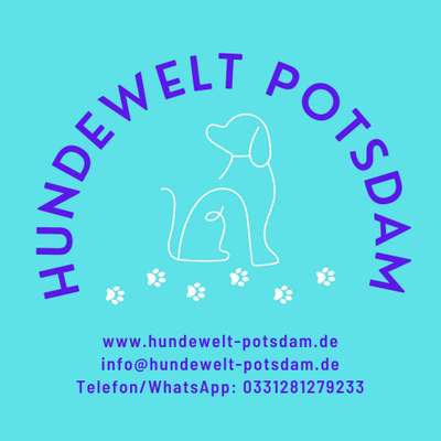 Hundetreffen-Gassirunde auf Hermannswerder in Potsdam-Bild
