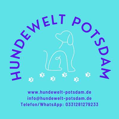 Hundetreffen-Gassirunde auf Hermannswerder in Potsdam-Bild