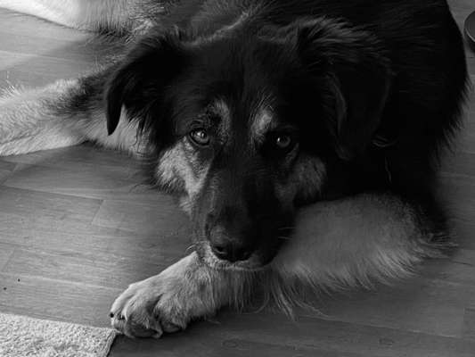 Fotochallange Nr. 57     PORTRÄT.   Beendet!!!!!!!!-Beitrag-Bild