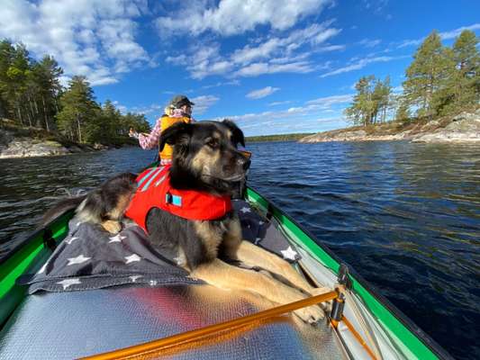 Fotochallenge 27-Beitrag-Bild