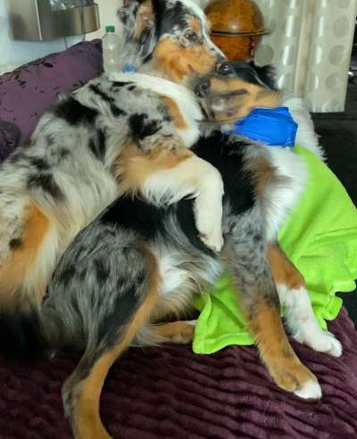 Fotochallenge liebespaare-Beitrag-Bild