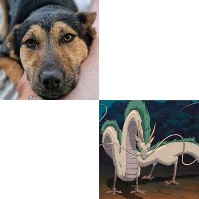 Wie heißt dein Hund?-Beitrag-Bild