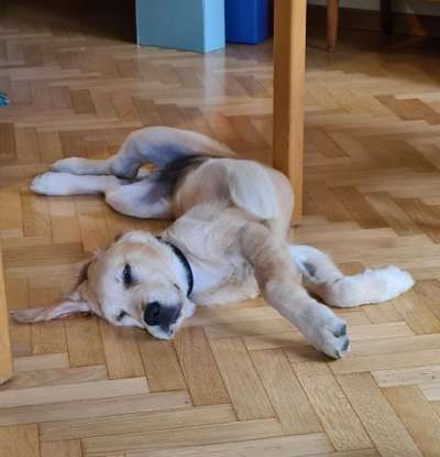 Fotochallenge Nr. 67: Euer Lieblingsbild-Beitrag-Bild