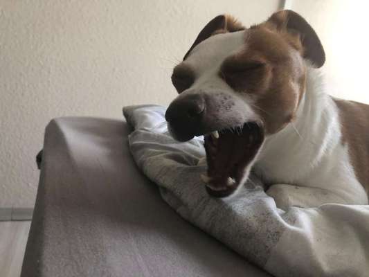 Handy-foto Challange nr. 11-Beitrag-Bild