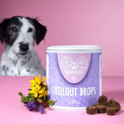 Chill out Drops-Beitrag-Bild