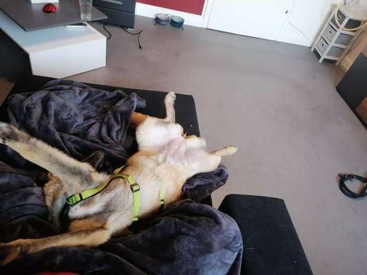 Fotochallenge Nr.65-Beitrag-Bild