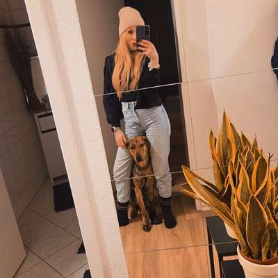 Hundetreffen-Pubertierender Junghund sucht soziale Kontakte 🐕