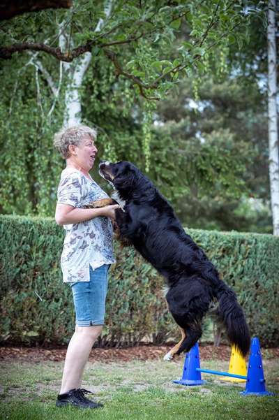 Fotochallenge Nr. 52 „Spring!“-Beitrag-Bild