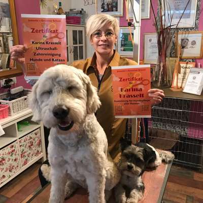 Hundefriseure-Rina’s Hundesalon 4 Pfoten-Bild