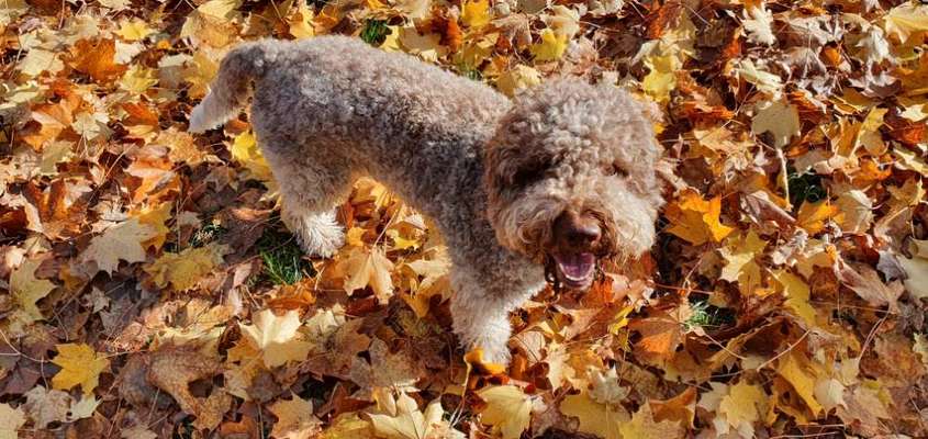 Foto Challenge 2 BEENDET 
Bitte aktuelle Challenge nutzen-Beitrag-Bild