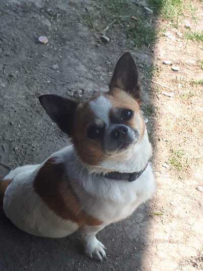 Lieblingsbild :D-Beitrag-Bild