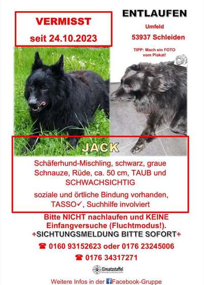 Suchmeldung-Jack-Bild