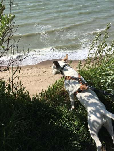 Fotowettbewerb Natur-Beitrag-Bild