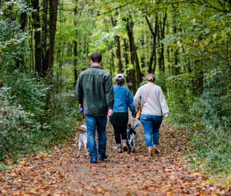 Giftköder-Social Walk-Bild