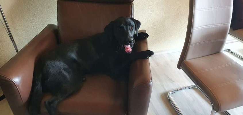 Lieblingsbild-Beitrag-Bild