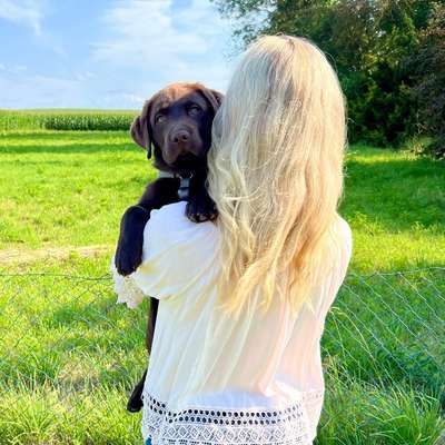 Hundetreffen-Spaziergänge-Profilbild