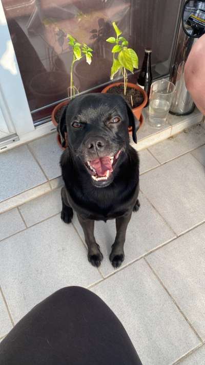 Lieblingsbild-Beitrag-Bild